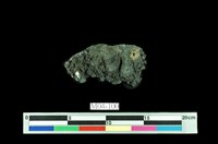 藏品(孔雀石)的圖片